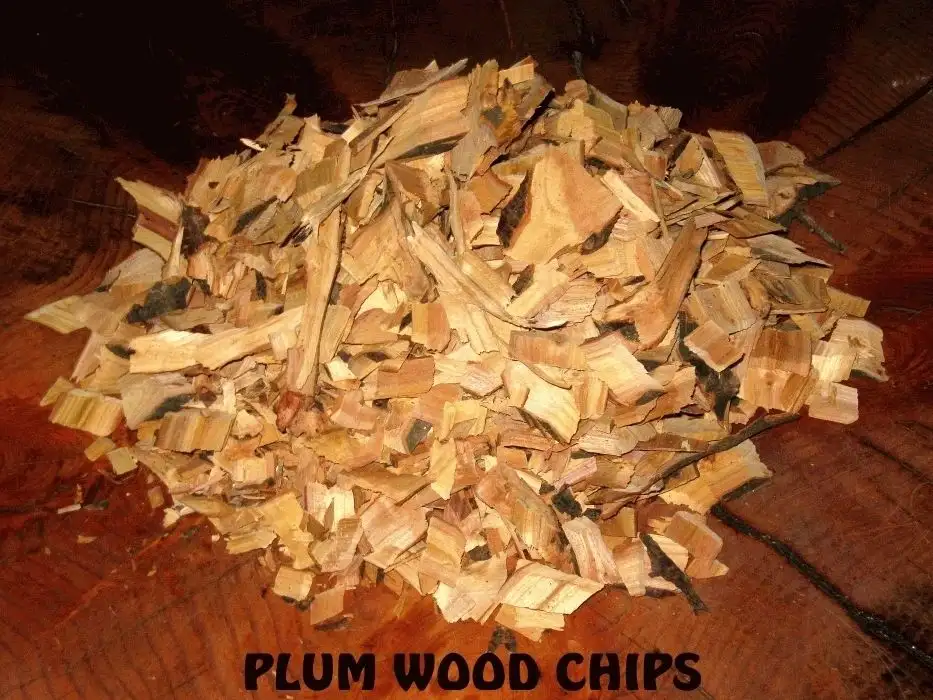 1kg Retail Bag Wood Chips - Select Wood Type - Image 8
