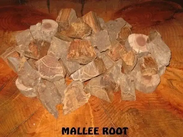 2kg Mallee Root Chunks